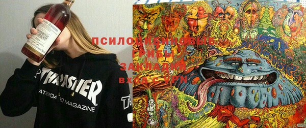 a pvp Медвежьегорск