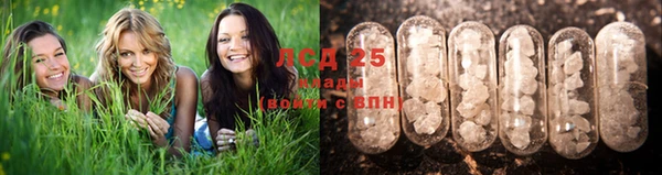 2c-b Магадан