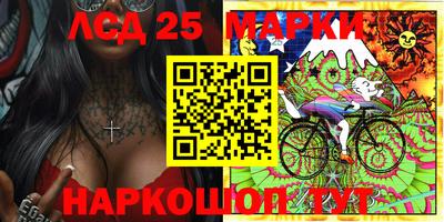 стафф Гатчина