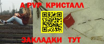 стафф Гатчина