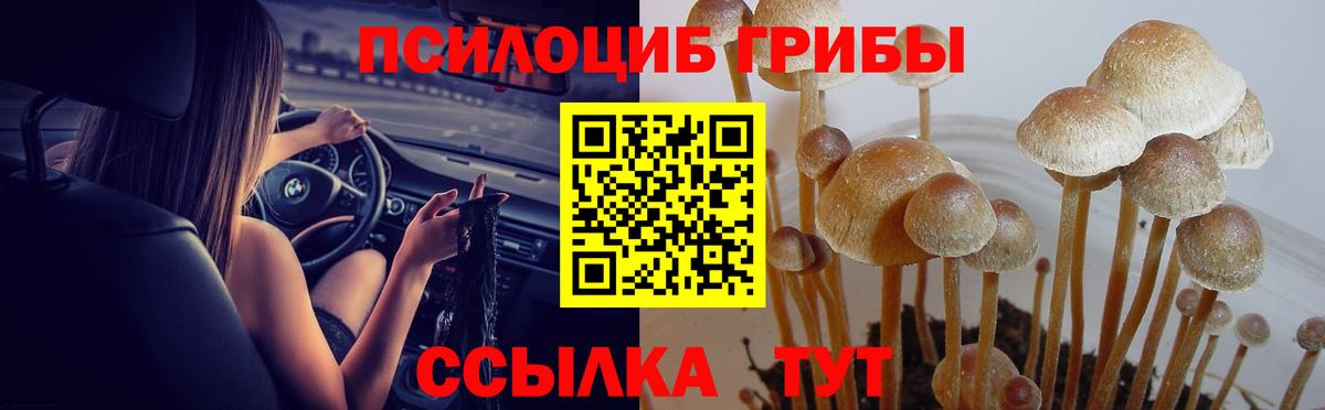 Галлюциногенные грибы Cubensis  закладка  Дмитров  Вход с VPN 