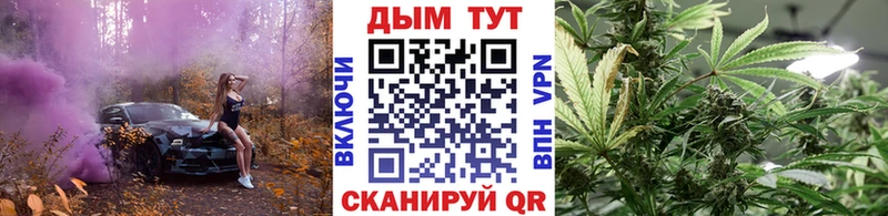 Шишки марихуана сатива  Дмитров 